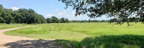 Texas landscape