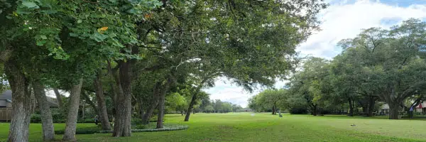 Pecan Grove 3